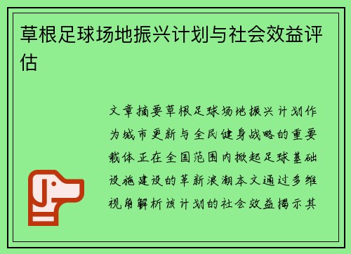 草根足球场地振兴计划与社会效益评估