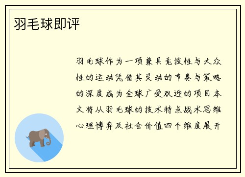 羽毛球即评